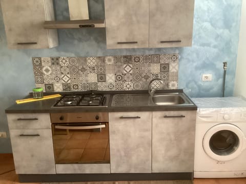 Kitchen or kitchenette, pet friendly, stove, washing machine