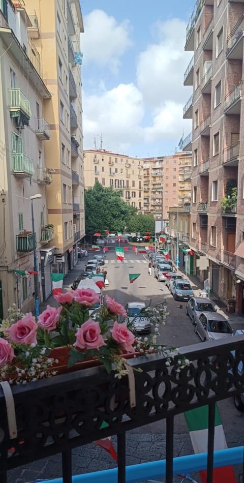 Day, Neighbourhood, City view