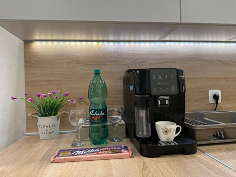 Apartman Sara Apartment in Federation of Bosnia and Herzegovina