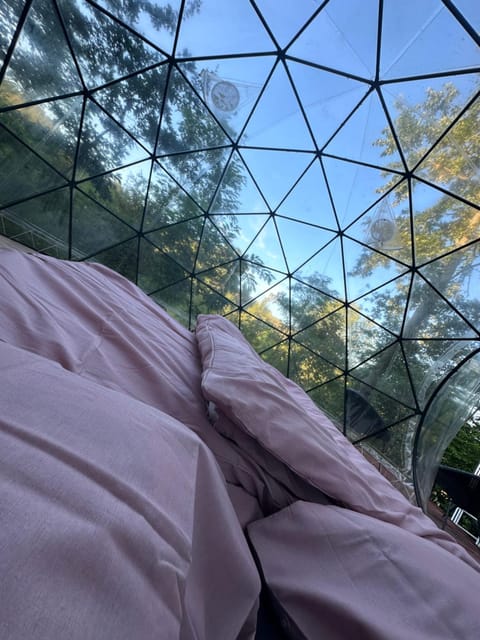 Bed, Photo of the whole room, Garden view