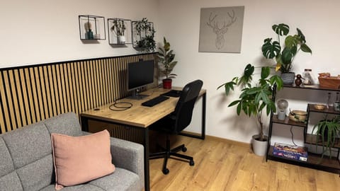 Pension Schmidt - Schwarzwaldnest - voll ausgestattetes Apartment Apartment in Schluchsee