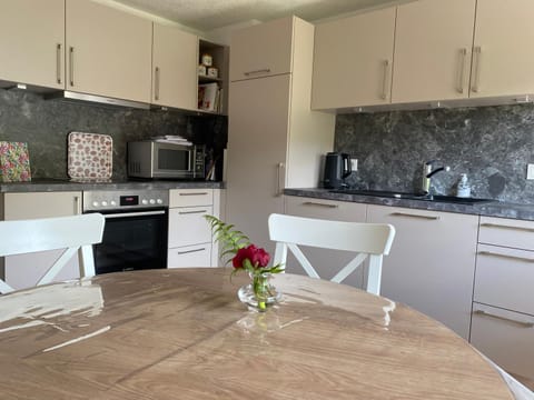 Coffee/tea facilities, Kitchen or kitchenette, Dining area, dishwasher, minibar, stove, toaster