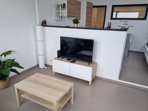 TV and multimedia