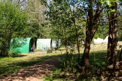 Natural landscape, Garden