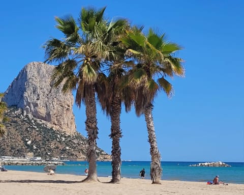 Nearby landmark, Natural landscape, Beach