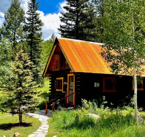 Pioneer Guest Cabins Cabin in Colorado