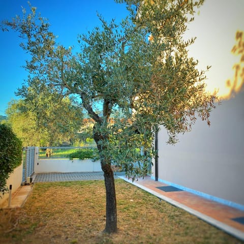 Spring, Garden, Garden view