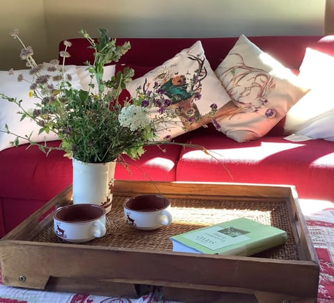 Bed, Living room, Photo of the whole room, Seating area, Bedroom
