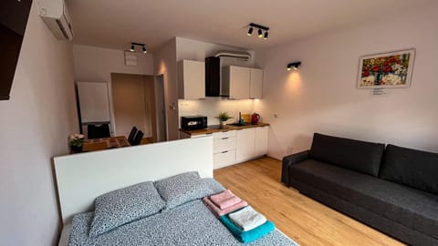 Kitchen or kitchenette, Living room, Photo of the whole room, Seating area, minibar, stove