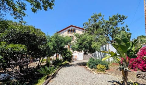 Property building, Garden, Garden view