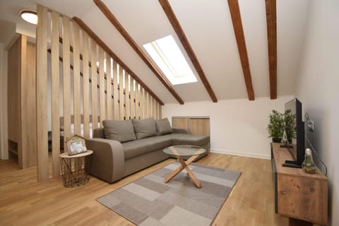 Studio apartment Art Zone II Apartment in Podgorica