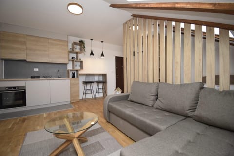 Studio apartment Art Zone II Apartment in Podgorica