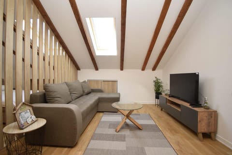 Studio apartment Art Zone II Apartment in Podgorica