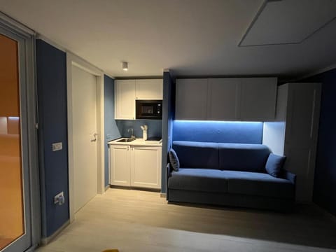 Bed, TV and multimedia, Kitchen or kitchenette, Living room, Seating area, Bedroom, wardrobe