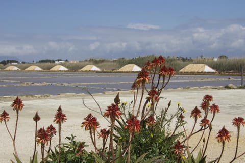 Nearby landmark, Natural landscape