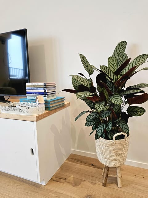 Causy Rooftop Apartment St. Idesbald Apartment in De Panne