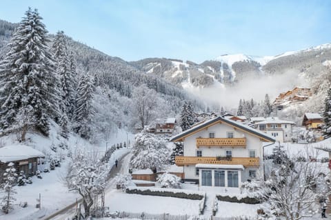 Property building, Winter