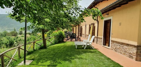 Garden, Garden view, sunbed