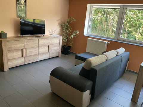 Communal lounge/ TV room, TV and multimedia, Living room