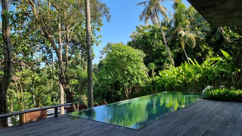 Natural landscape, Garden, Swimming pool