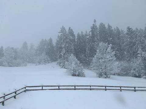 Casa da Tini Apartment in Canton of Grisons
