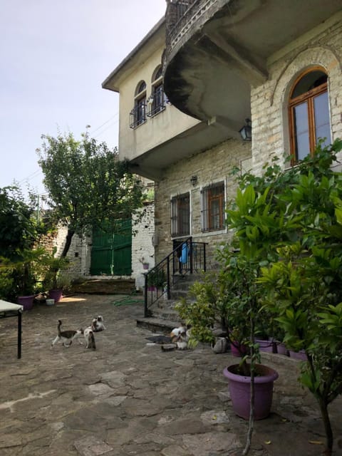 Property building, Patio, Spring, Day, View (from property/room), Garden view