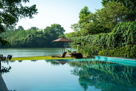 View (from property/room), Lake view, Pool view