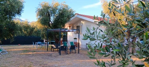 Property building, Natural landscape, Garden, Dining area