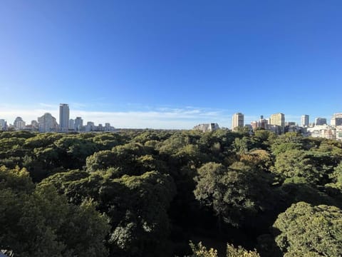 Natural landscape, Bird's eye view, City view
