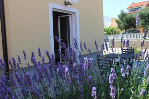 Property building, Day, Garden, Garden view