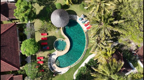 Bird's eye view, Garden, Swimming pool
