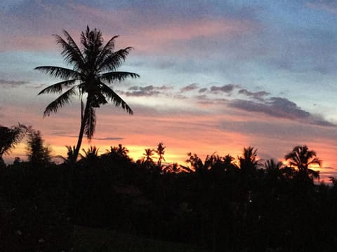 View (from property/room)