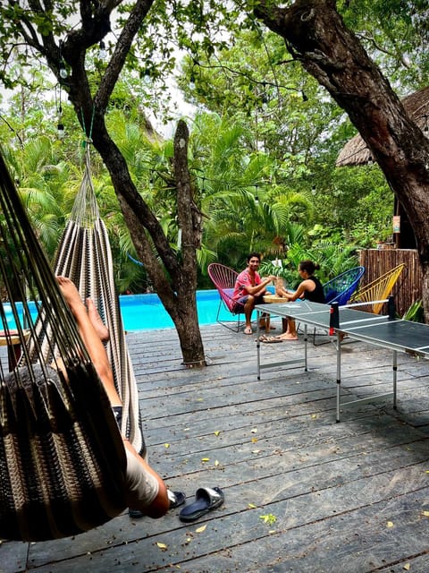 Patio, Natural landscape, Garden, Swimming pool