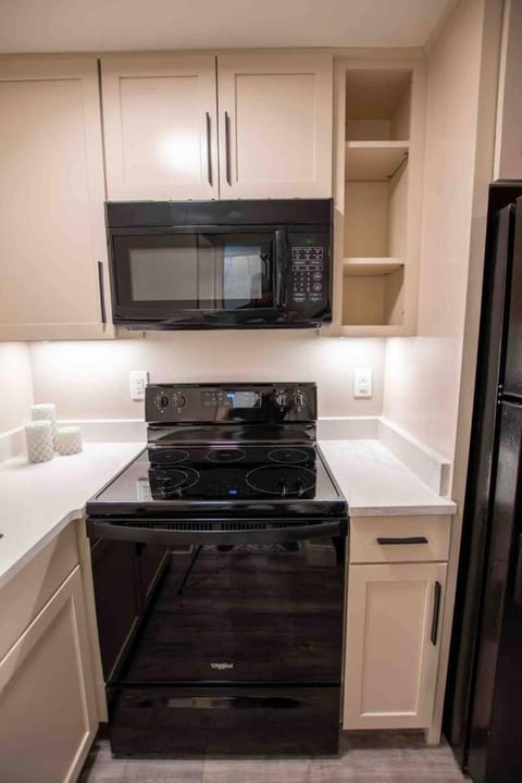 Modern Studio Basement with Private Entrance Apartment in Centennial