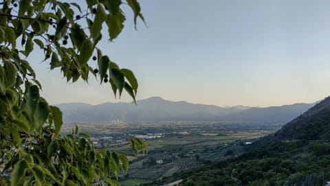 Mountain view