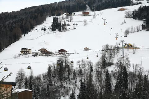 Spreitzhof - Appartements Apartment in Schladming
