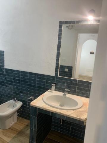 Shower, Toilet, Bathroom, bidet