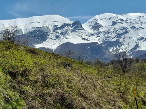 Gabriella Apartment in Abruzzo