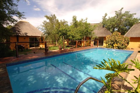 Day, Garden, Swimming pool, Swimming pool