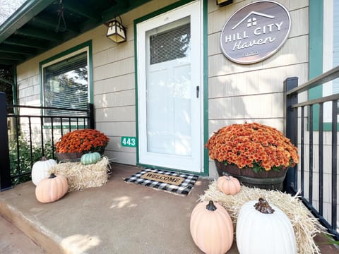 Hill City Haven Downtown Main Street House in Hill City