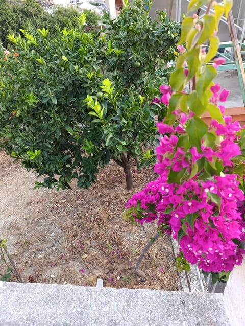 SOLE INN Bed and Breakfast in Vlorë