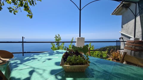 Patio, Day, Natural landscape, View (from property/room), Balcony/Terrace, Balcony/Terrace, Dining area, Sea view, Sea view