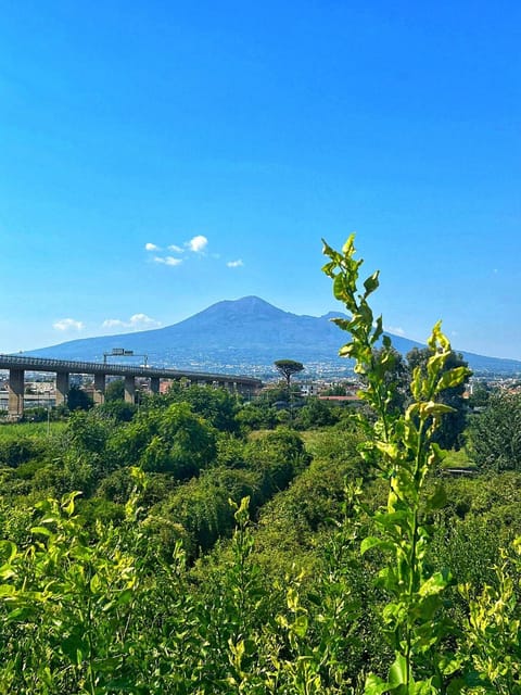Property building, Summer, Garden view, Landmark view, Landmark view, Mountain view