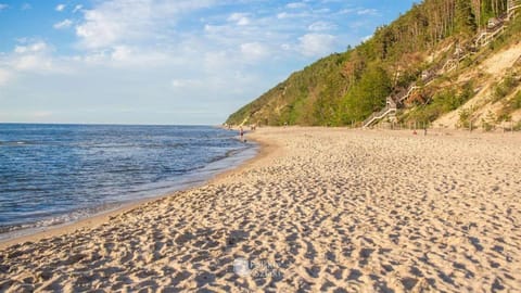 Day, Natural landscape, Beach
