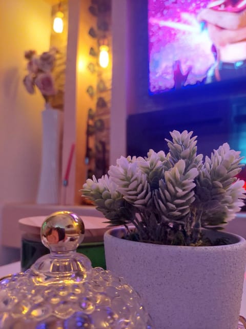 Apartman Star Apartment in Vojvodina