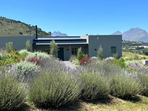Windon vineyard farmhouse House in Stellenbosch
