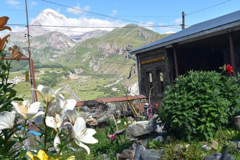 Garden, Mountain view