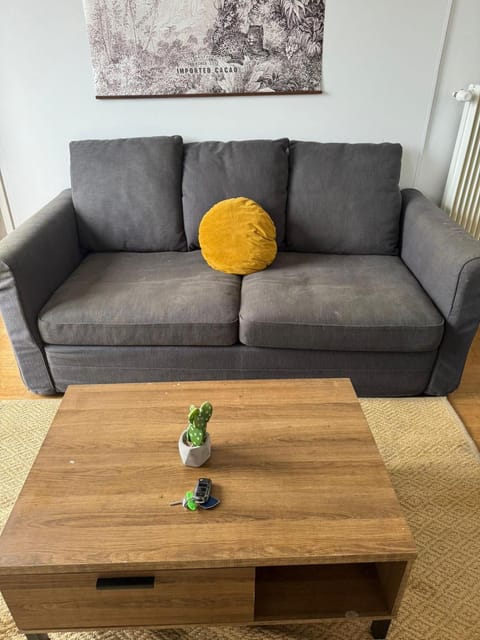 Le Refuge de la Bascule - Charmant appartement Caluire et cuire Apartment in Caluire-et-Cuire