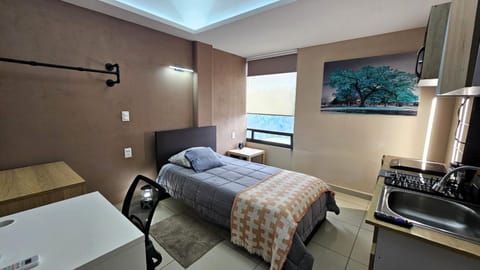Bed, TV and multimedia, Kitchen or kitchenette, Photo of the whole room, Bedroom
