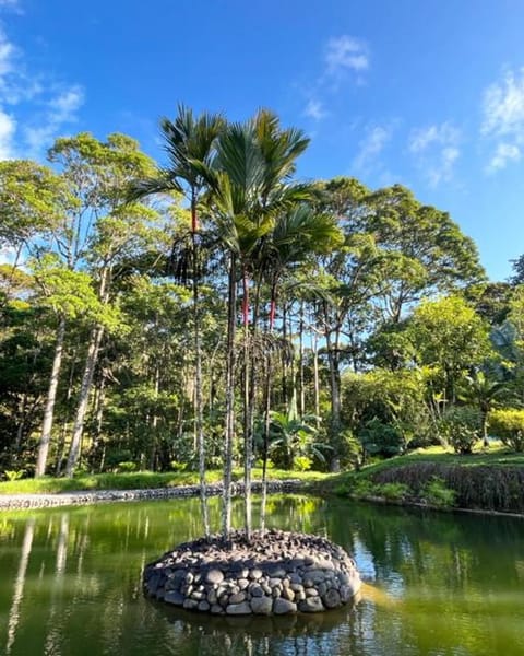 Natural landscape, Garden view, Lake view